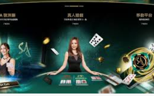 188bet金宝搏2024最新版